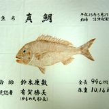 魚拓