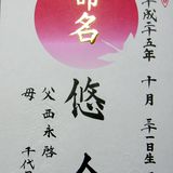 命名書