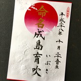 命名書