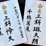 命名書