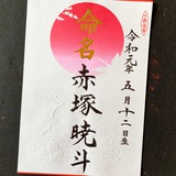 命名書