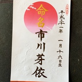 命名書