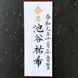 命名書