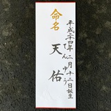 命名書