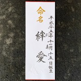 命名書