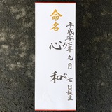 命名書