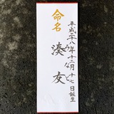 命名書