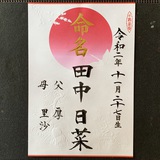 命名書